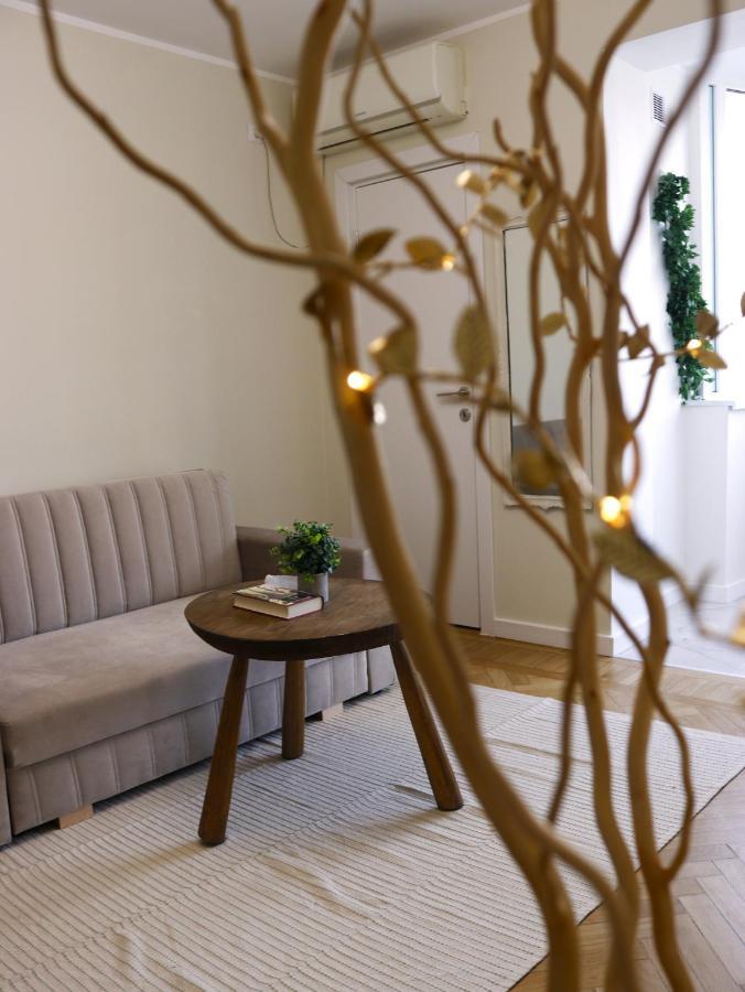 Mina City Center Apartment Amzei Бухарест Экстерьер фото