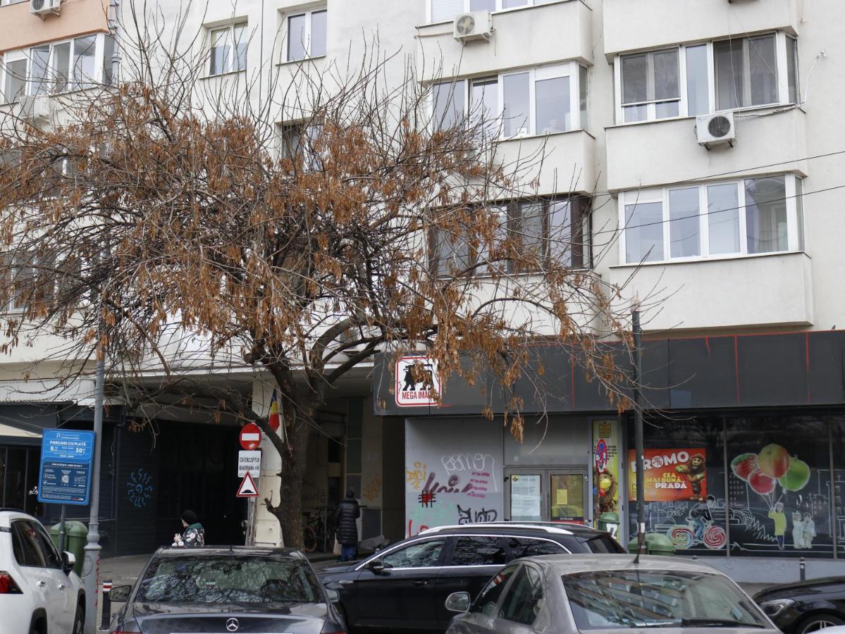 Mina City Center Apartment Amzei Бухарест Экстерьер фото